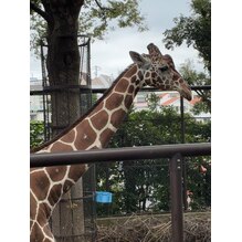 動物園🦒のメイン画像